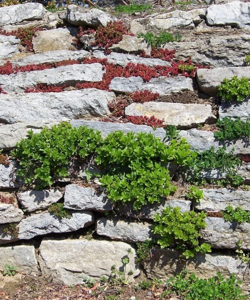 Retaining wall in Jefferson County